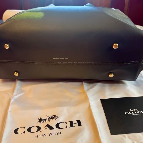 Coach Olive Green Bag with Dinosaur Design - Picture 7 of 13